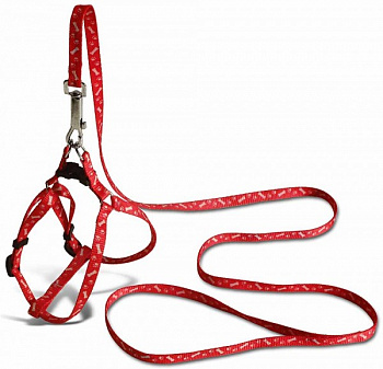 00010970 Поводок со шлейкой для кошек и собак Dog Chain, 10 мм х 120 см