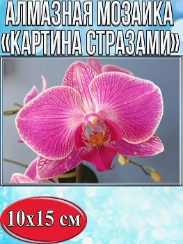 Алмазная мозаика картина стразами Орхидея, 15х20 см