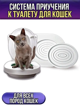 Система приучения к туалету для кошек