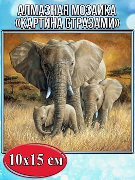 Алмазная мозаика картина стразами Слоны, 15х20 см