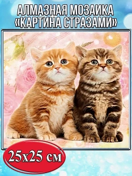 Алмазная мозаика картина стразами Два котёнка, 30х30 см