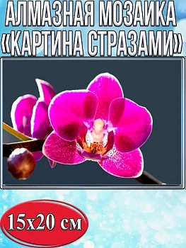 Алмазная мозаика картина стразами Орхидея, 15х20 см