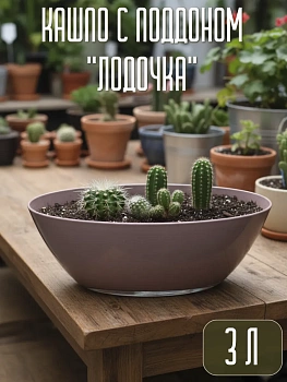 Кашпо с поддоном Лодочка, 3 л