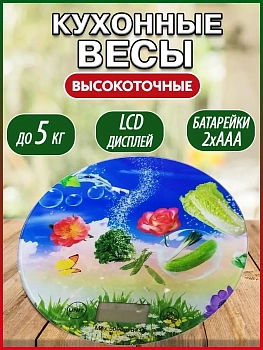 00018231 Весы электронные