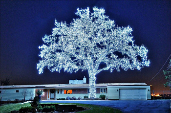 Уличная светодиодная гирлянда нить, 100LED
