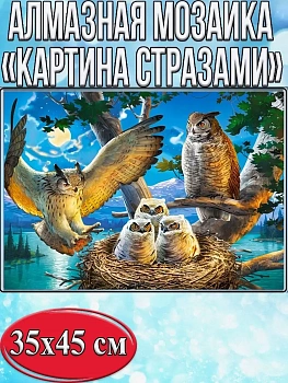 Алмазная мозаика картина стразами Совиная семья, 40х50 см