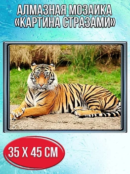 Алмазная мозаика картина стразами Тигр, 40х50 см