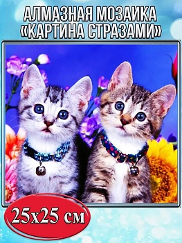Алмазная мозаика картина стразами Два котёнка, 30х30 см