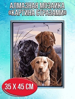 Алмазная мозаика картина стразами Три лабрадора, 40х50 см