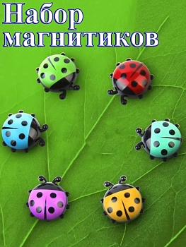 Набор декоративных магнитиков Ladybug, 6 шт