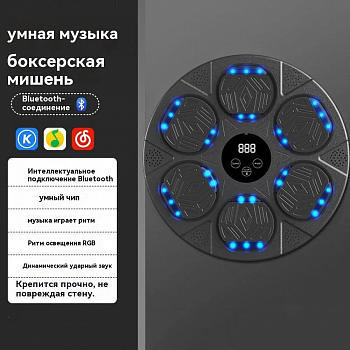 Тренажер для бокса музыкальный