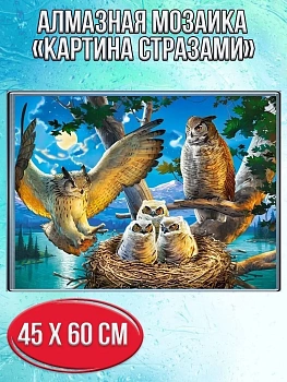 Алмазная мозаика картина стразами Совиная семья, 50х65 см