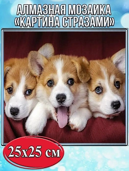 Алмазная мозаика картина стразами Щенки корги, 30х30 см