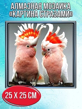 Алмазная мозаика картина стразами Попугаи какаду, 30х30 см