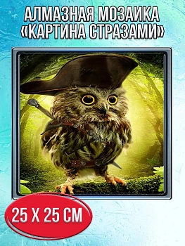 Алмазная мозаика картина стразами Сова в треуголке, 30х30 см