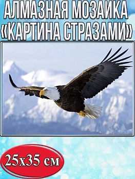 Алмазная мозаика картина стразами Летящий орёл, 30х40 см