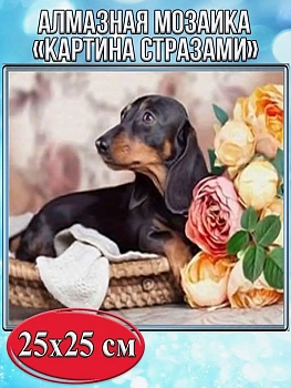 Алмазная мозаика картина стразами Такса в лежаке, 30х30 см
