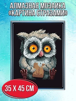 Алмазная мозаика картина стразами Сова с печеньем, 40х50 см