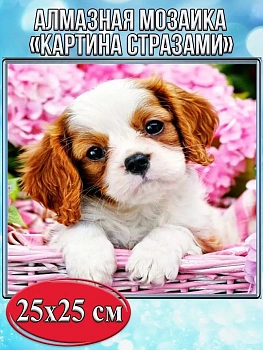 Алмазная мозаика картина стразами Щенок в корзине, 30х30 см