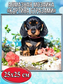 Алмазная мозаика картина стразами Щенок таксы, 30х30 см
