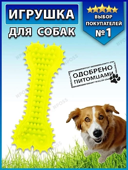 00027503 Игрушка для животных "Кость с шипами"