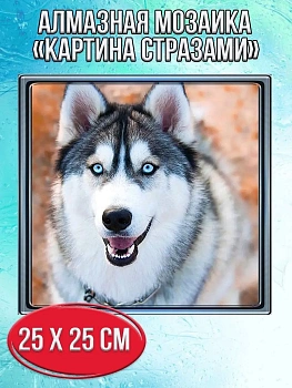 Алмазная мозаика картина стразами Собака хаски, 30х30 см