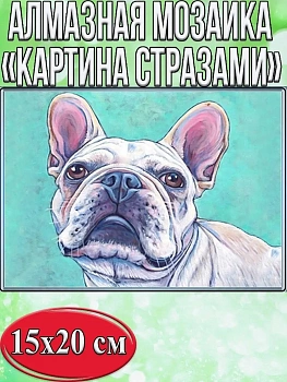 Алмазная мозаика картина стразами Французский бульдог, 15х20 см