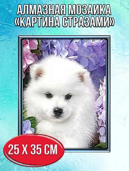 Алмазная мозаика картина стразами Самоедская собака, 30х40 см