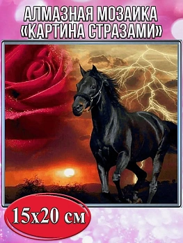 Алмазная мозаика картина стразами Чёрный конь, 15х20 см