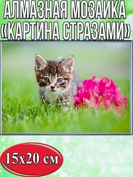 Алмазная мозаика картина стразами Котёнок, 15х20 см