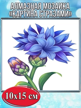 Алмазная мозаика картина стразами Васильки, 15х20 см