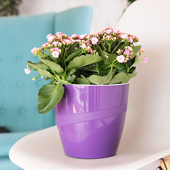 00035878 Кашпо со вставкой Грация, 2.8 л