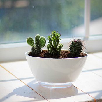 00027119 Кашпо с поддоном Лодочка, 1 л