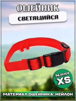 00058892 Светящийся ошейник для животных
